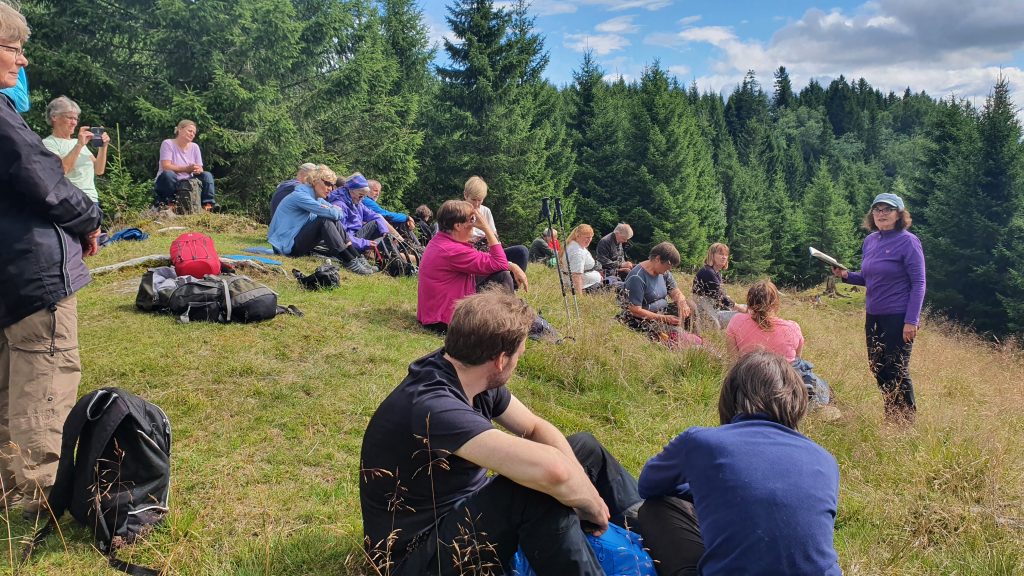 Hildegunn Eggen var vandringsvegleder på olsokvandringen 2020.